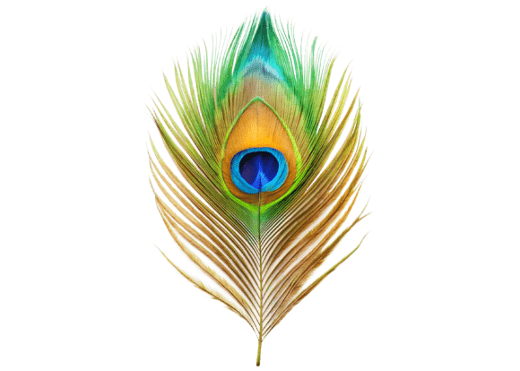 3D Peacock Feather with a Blue Eye PNG: Elevating Modern Digital Design
